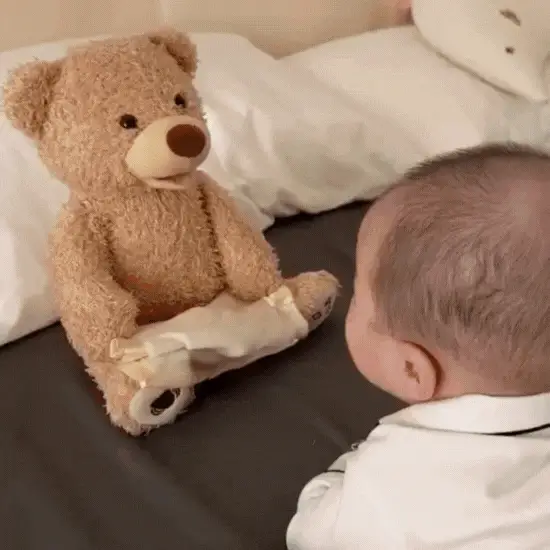 Peek A Boo Teddy Bear - Image 3