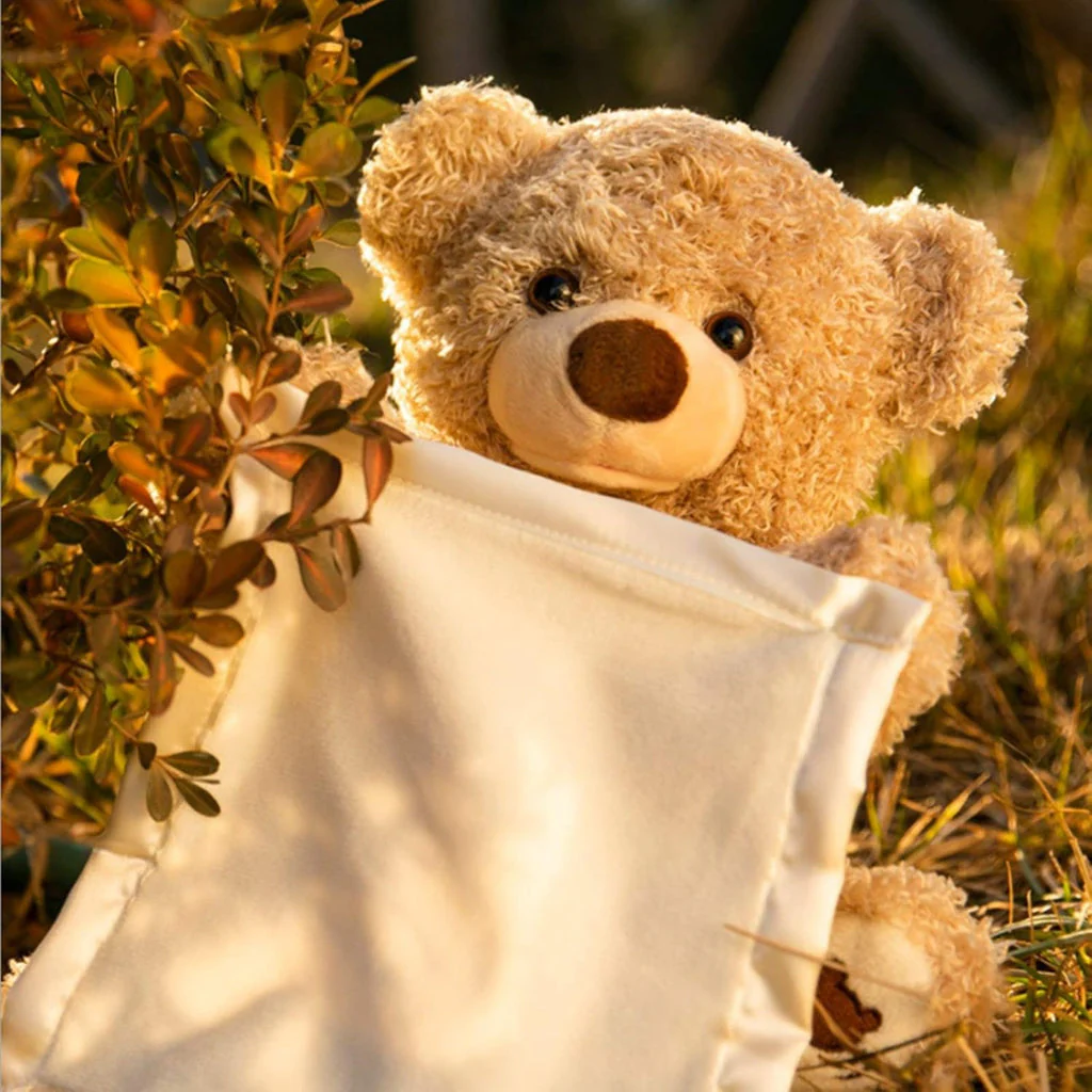 Peek A Boo Teddy Bear - Image 8